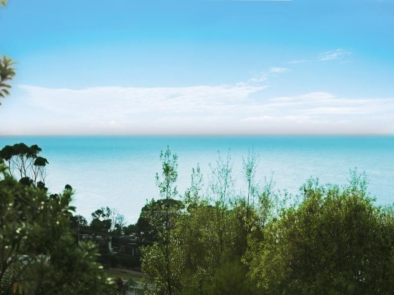 3/19 Gwynne Avenue, Lorne VIC 3232