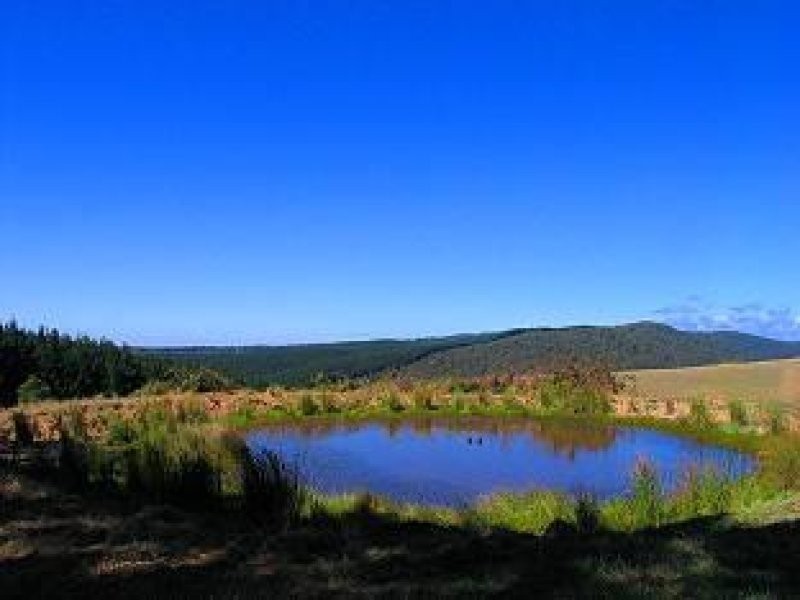 455 Deans Marsh Road, Deans Marsh VIC 3235