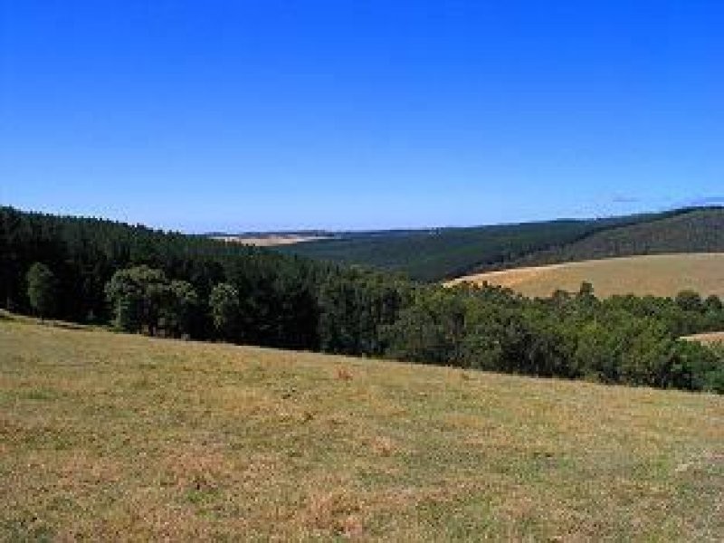 455 Deans Marsh Road, Deans Marsh VIC 3235