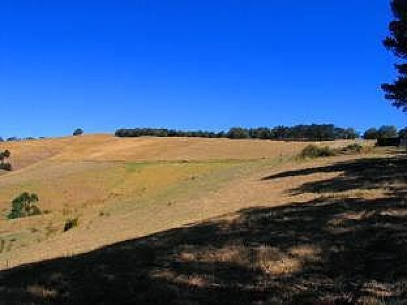 455 Deans Marsh Road, Deans Marsh VIC 3235