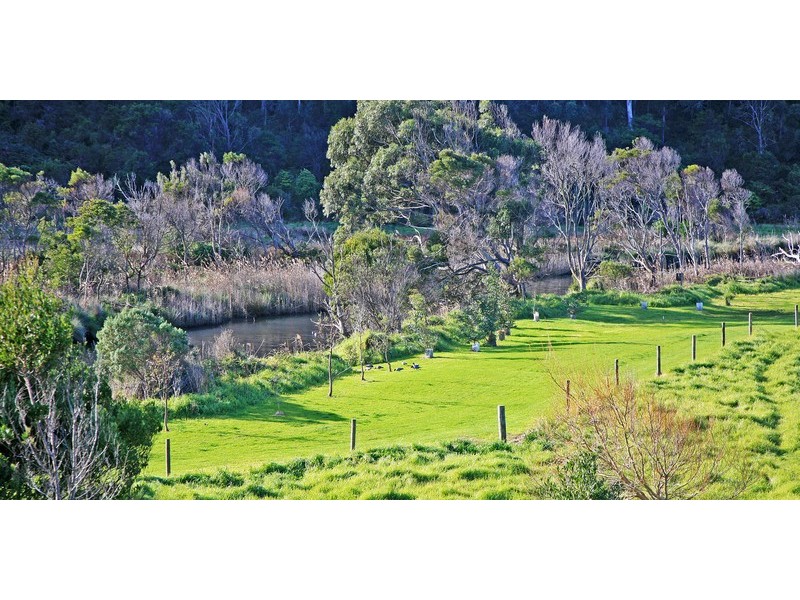 Kennett River VIC 3221