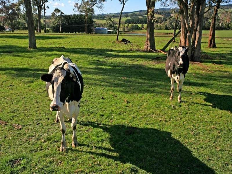 1535 Birregurra-Forrest Road, Barwon Downs VIC 3243