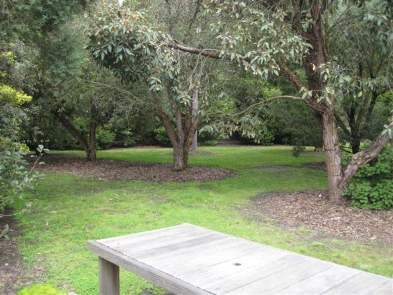 126 Briody Drive, Torquay VIC 3228