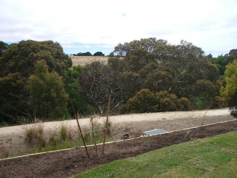 2 / 3 Moonah Place, Torquay VIC 3228