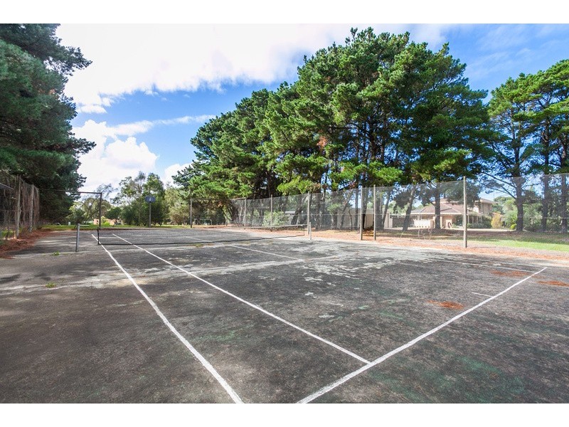 15  Aquarius Avenue, Torquay VIC 3228