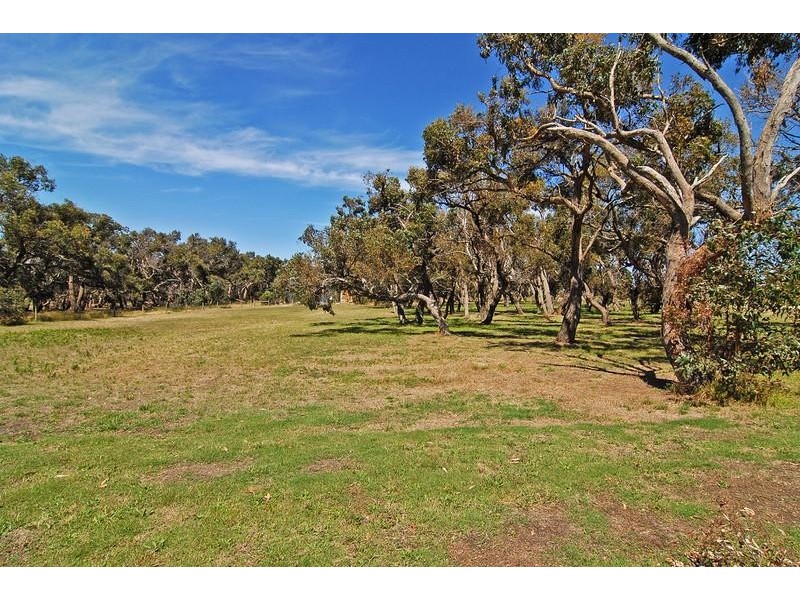 1 Sheoak Court, Torquay VIC 3228