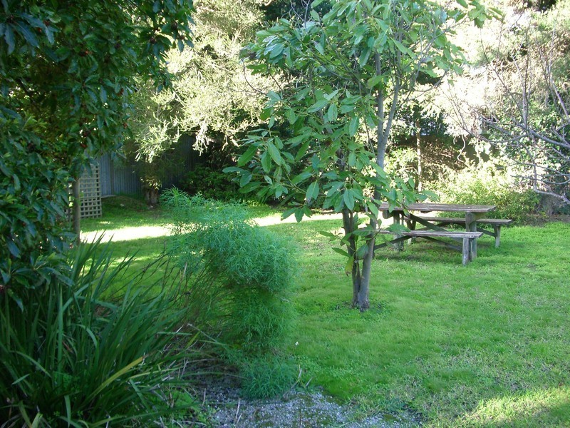 8/37 Bristol Road, Torquay VIC 3228