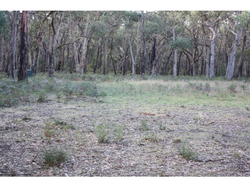 565 Wormbete Station Road, Torquay VIC 3228