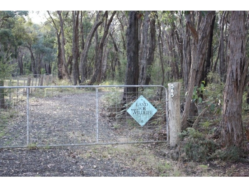565 Wormbete Station Road, Torquay VIC 3228