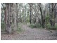 565 Wormbete Station Road, Torquay VIC 3228