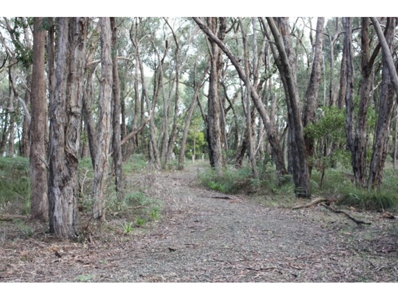 565 Wormbete Station Road, Torquay VIC 3228