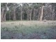 565 Wormbete Station Road, Torquay VIC 3228