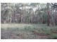 565 Wormbete Station Road, Torquay VIC 3228