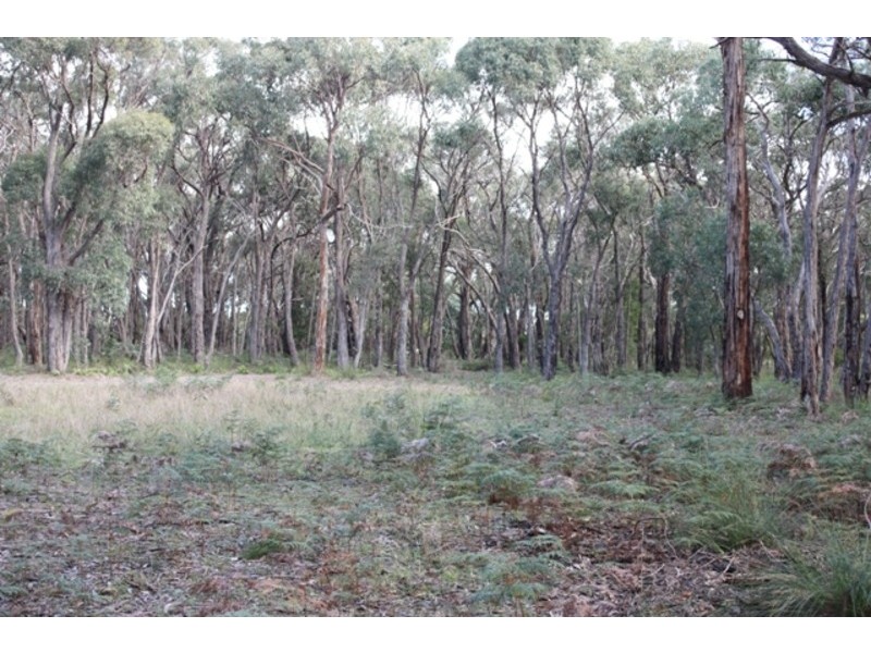 565 Wormbete Station Road, Torquay VIC 3228