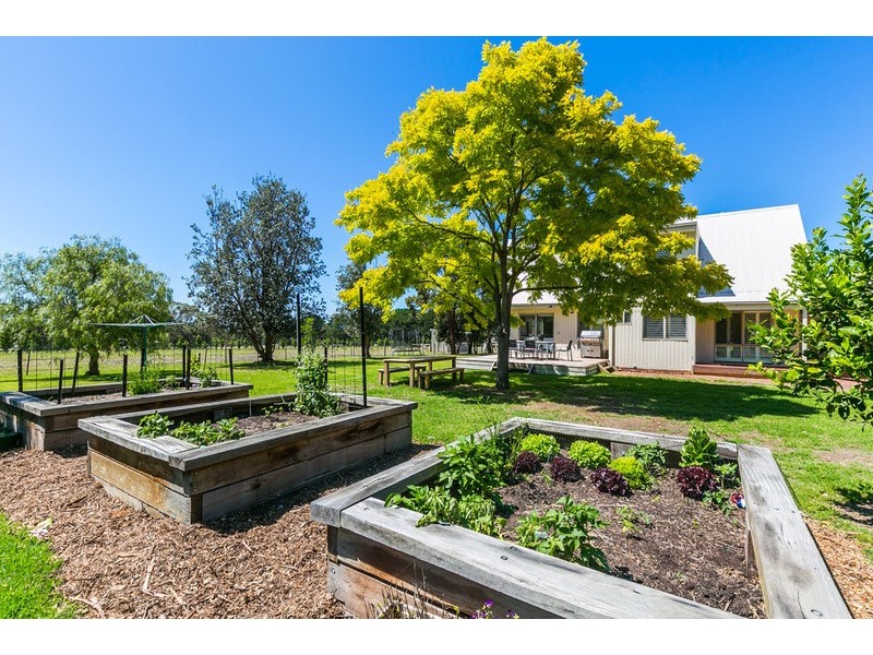 65 Aquarius Avenue, Torquay VIC 3228