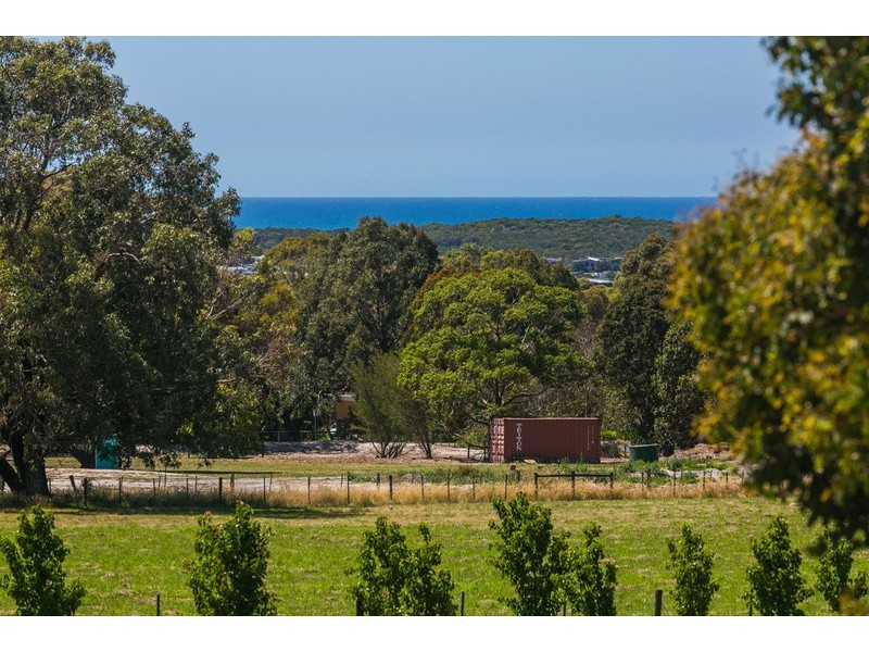 65 Aquarius Avenue, Torquay VIC 3228