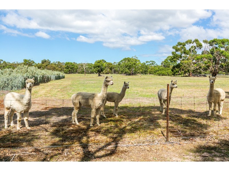 1395 Blackgate Road, Freshwater Creek VIC 3216