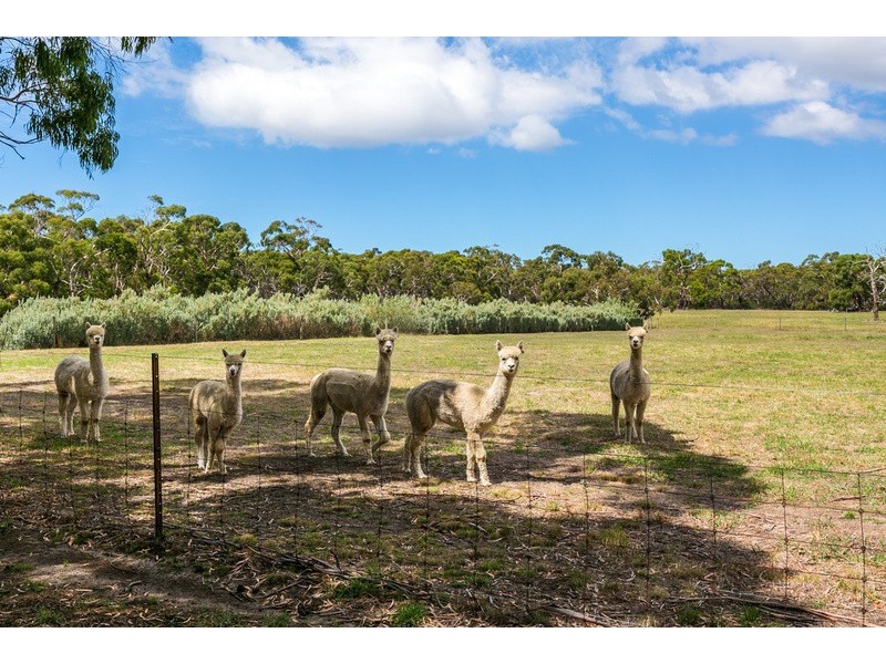 1395 Blackgate Road, Freshwater Creek VIC 3216