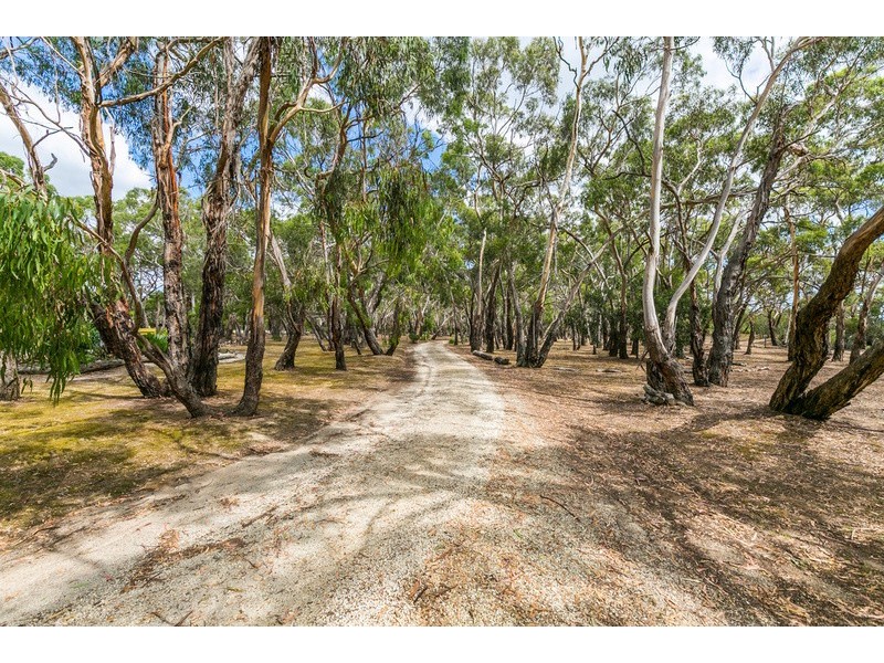 1395 Blackgate Road, Freshwater Creek VIC 3216
