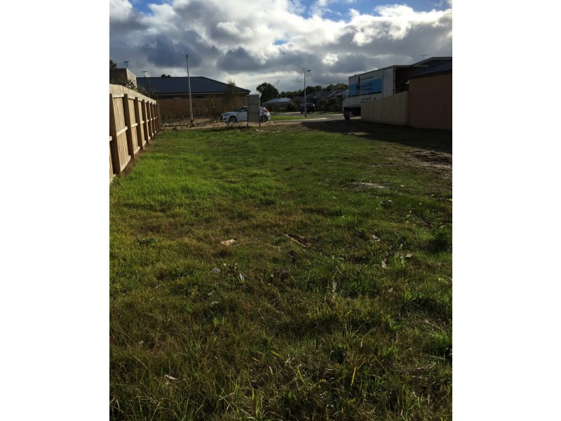 16 Liuzzi Drive, Torquay VIC 3228