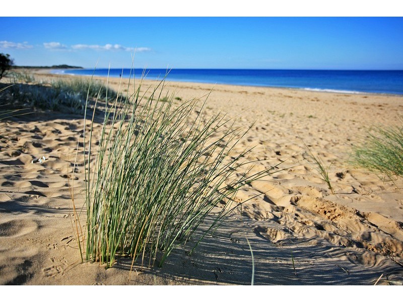 20 Bell Street, Torquay VIC 3228