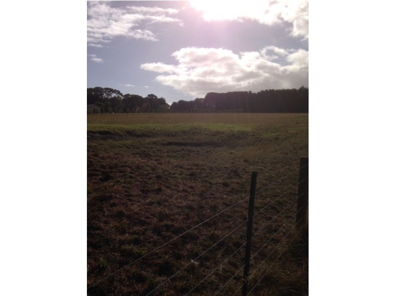 75 Aquarius Avenue, Torquay VIC 3228