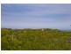 2 Afzan Court, Torquay VIC 3228