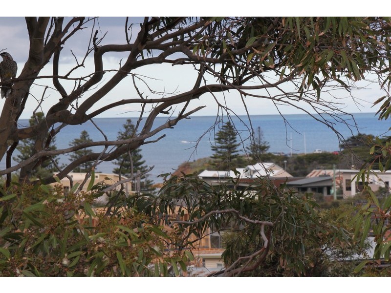 6 Beales Street, Torquay VIC 3228
