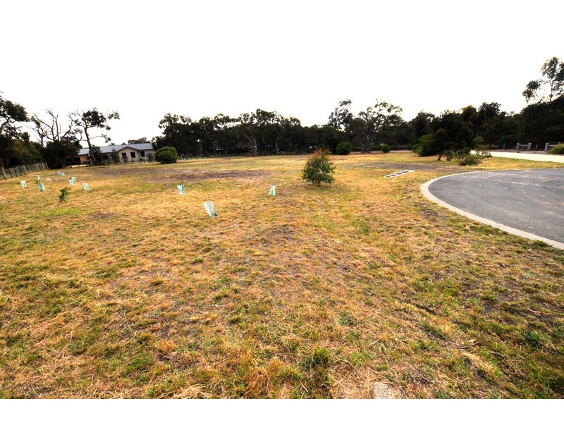 19 Stringybark Drive, Torquay VIC 3228