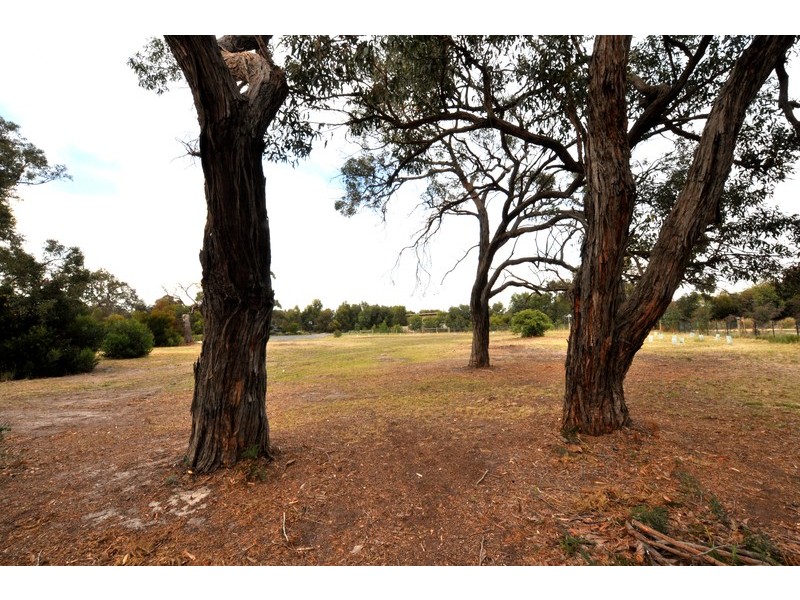 19 Stringybark Drive, Torquay VIC 3228