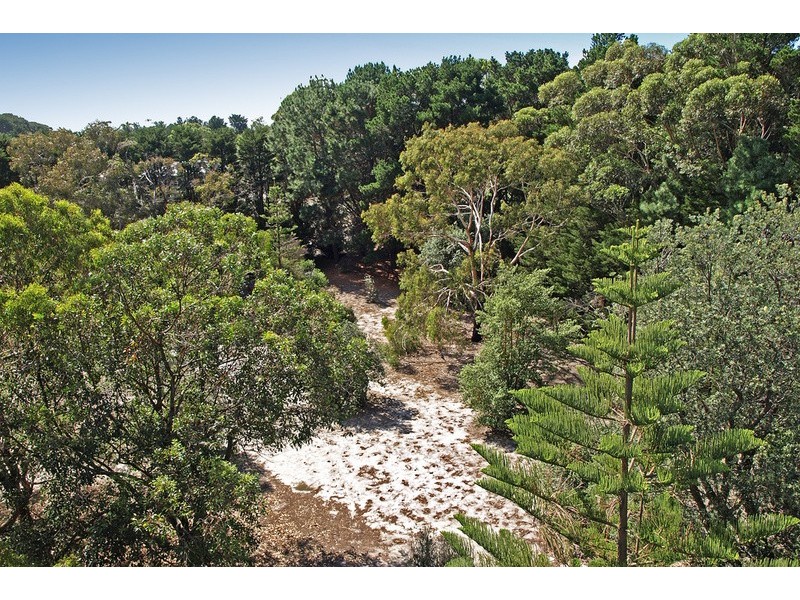 41 South Beach Road, Torquay VIC 3228