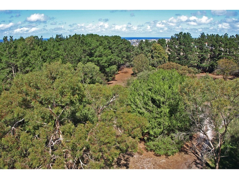 41 South Beach Road, Torquay VIC 3228