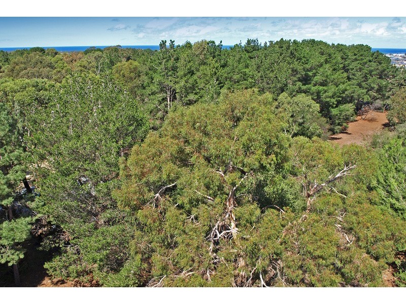 41 South Beach Road, Torquay VIC 3228