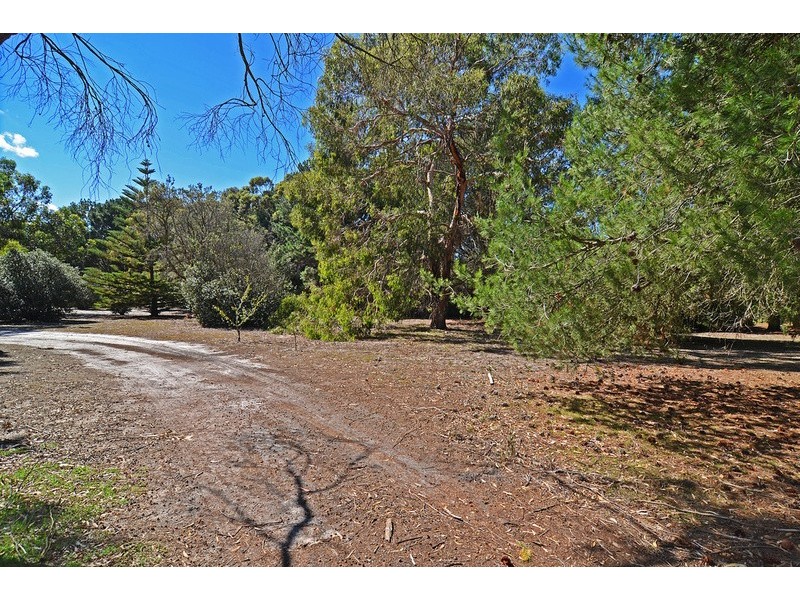 41 South Beach Road, Torquay VIC 3228