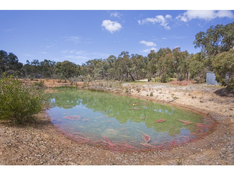 455 Gundrys Road, Bellbrae VIC 3228