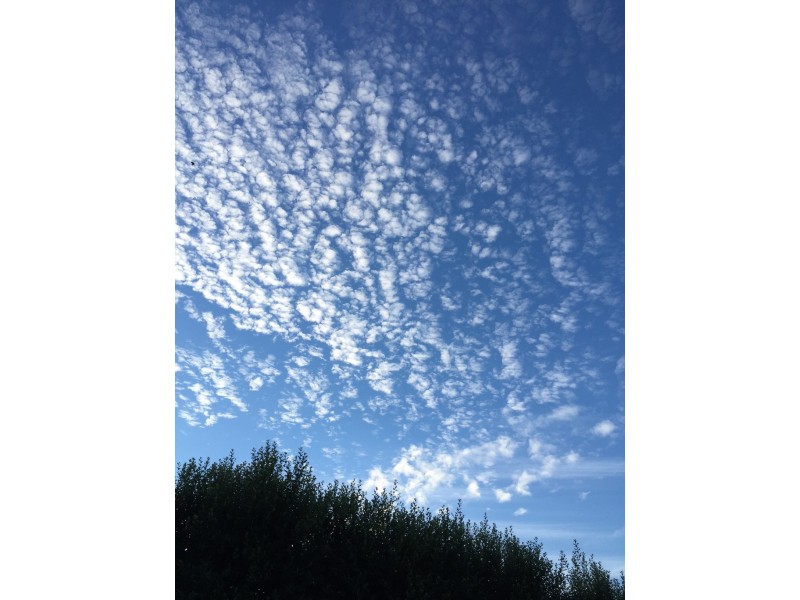 65 Sagittarius Street, Torquay VIC 3228