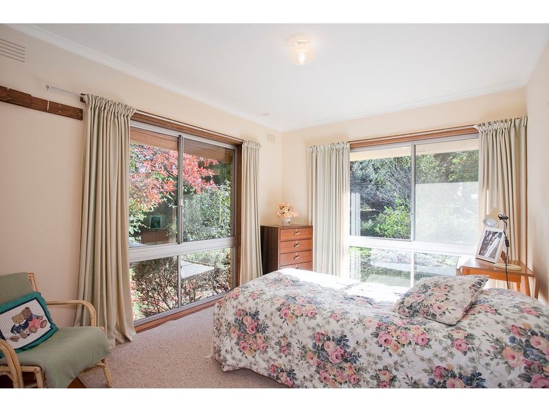 20 Aquarius Avenue, Torquay VIC 3228
