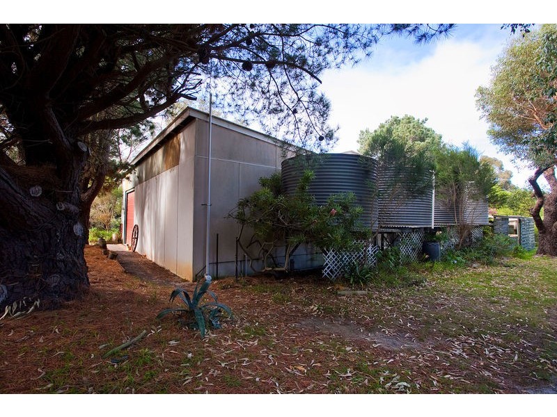 20 Aquarius Avenue, Torquay VIC 3228