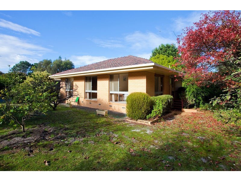 20 Aquarius Avenue, Torquay VIC 3228