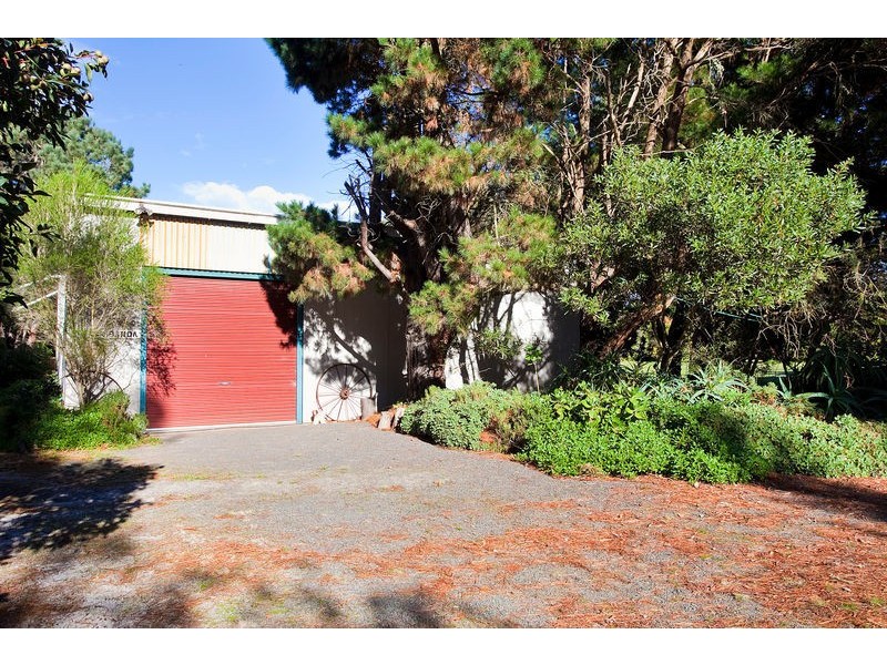 20 Aquarius Avenue, Torquay VIC 3228