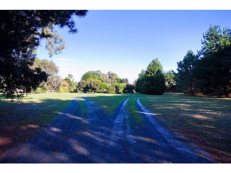 20 Aquarius Avenue, Torquay VIC 3228