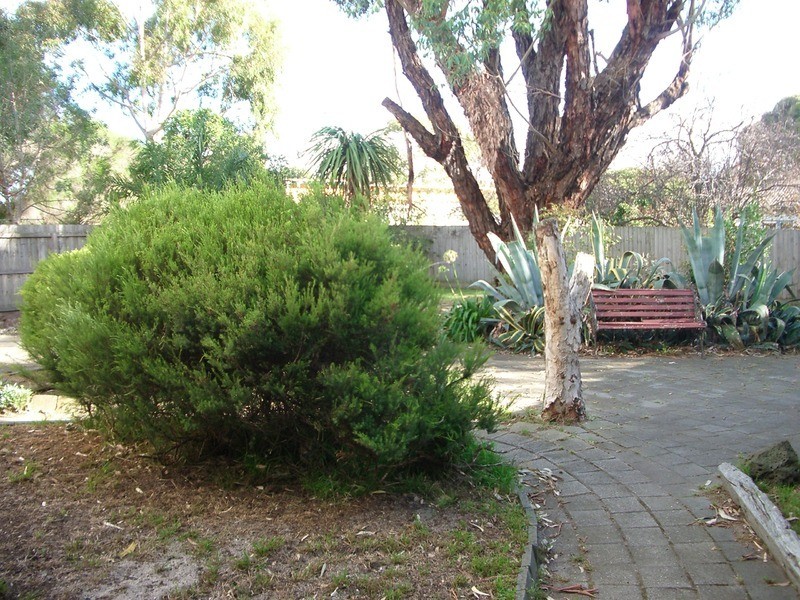 52 Grandview Road, Torquay VIC 3228