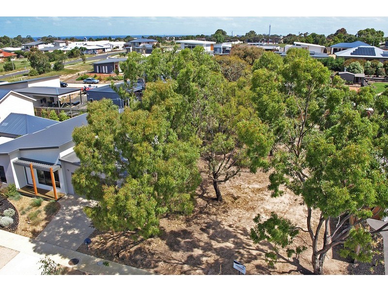 33 Briody Drive, Torquay VIC 3228