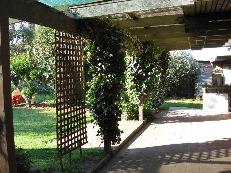 13 Osprey Court, Torquay VIC 3228