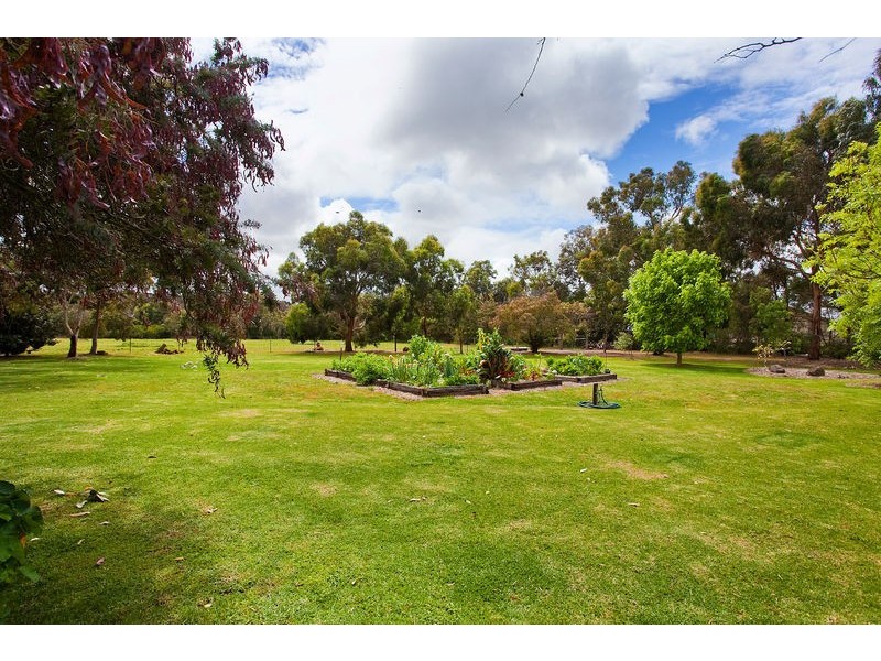 126 Briody Drive, Torquay VIC 3228