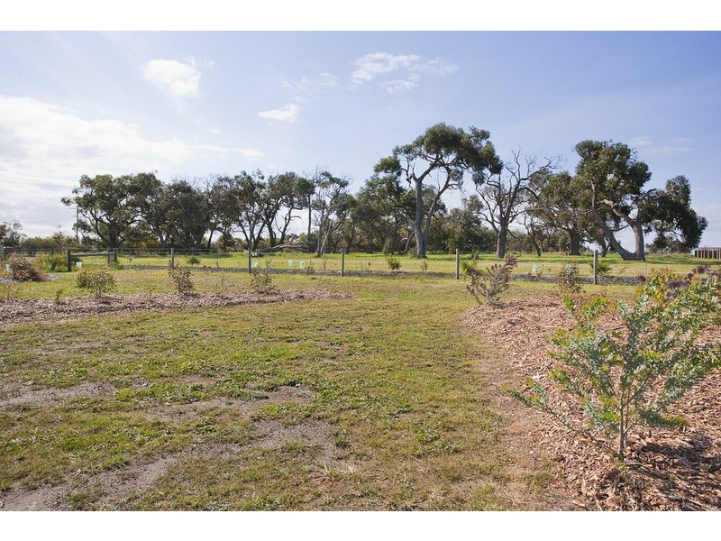 14 Rosedale Drive, Torquay VIC 3228