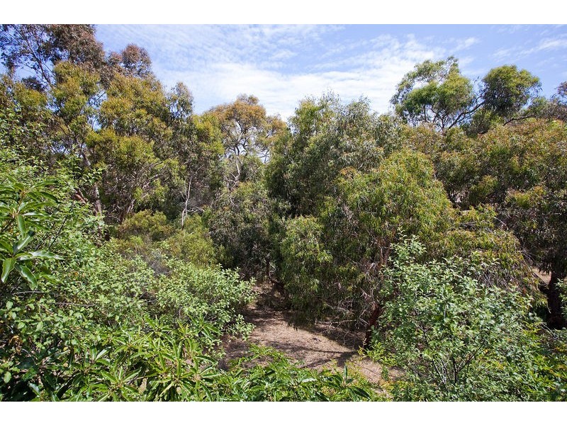 59 Domain Road, Jan Juc VIC 3228