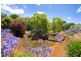 185 Addiscott Road, Bellbrae VIC 3228