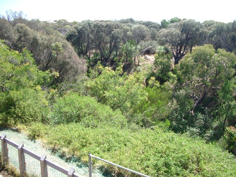 14  Bayview Terrace, Torquay VIC 3228