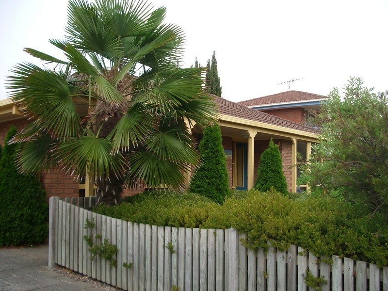 38 Aquilla Avenue, Torquay VIC 3228